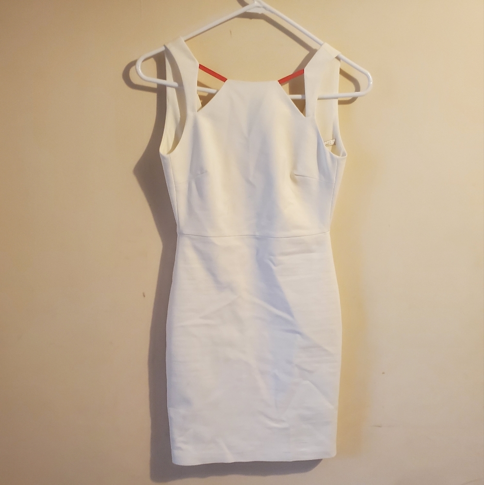 XS- Trafaluc Zara Dress